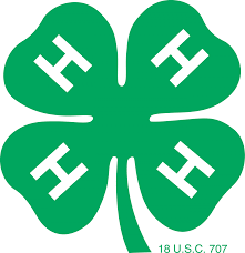 4H Camp Counselors Needed